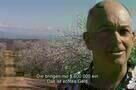 More than Honey - Trailer