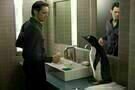 Mr. Poppers Pinguine 09