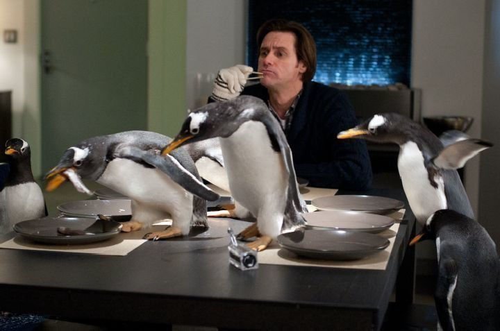 Mr. Poppers Pinguine 10