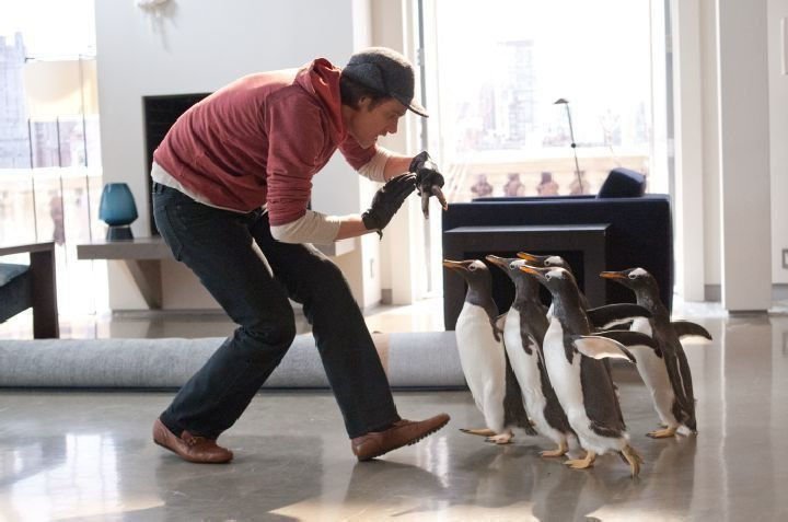 Mr. Poppers Pinguine 11