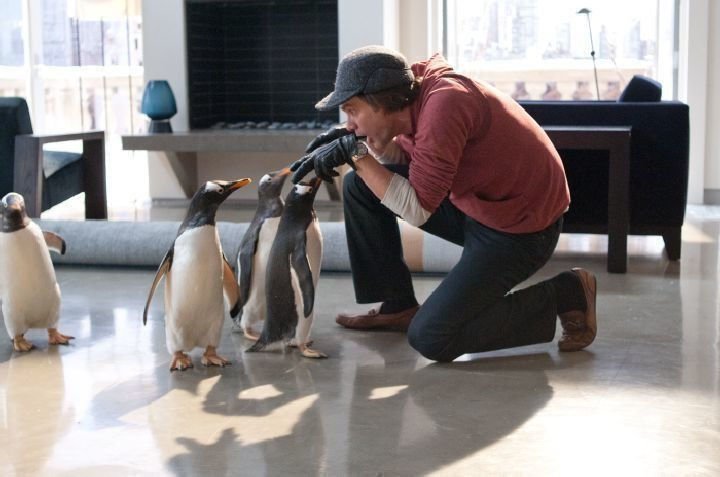 Mr. Poppers Pinguine 12