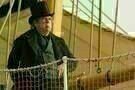 Mr Turner 03