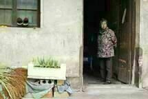 Mrs. Fang 3 Mrs. Fang 3