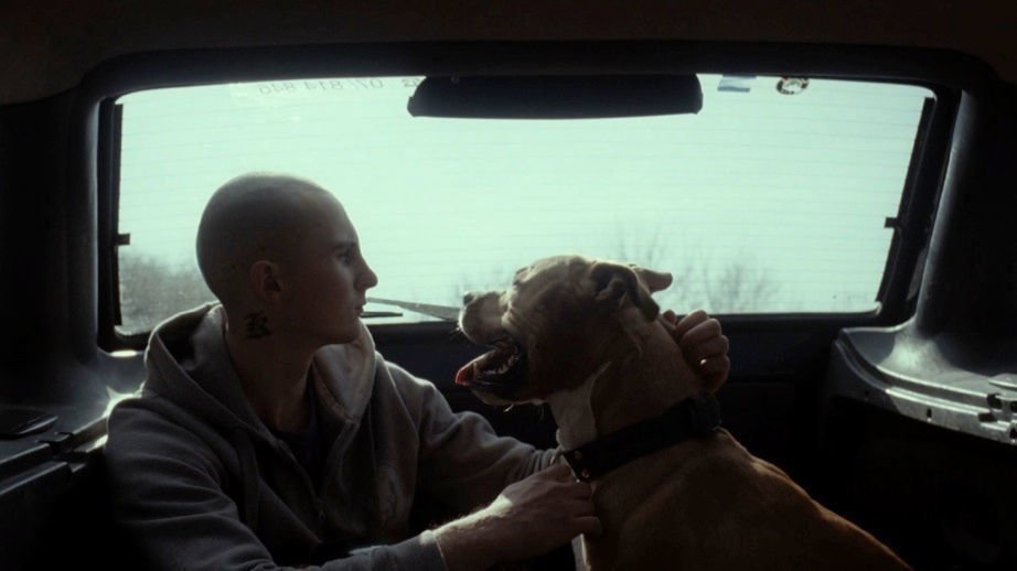 My Dog Killer 04