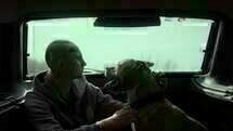 My Dog Killer 04