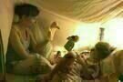 Nanny Diaries