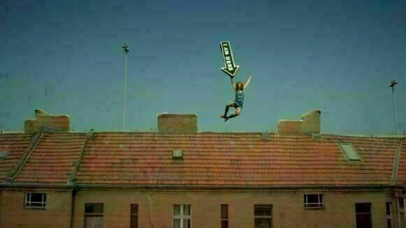 Nashorn im Galopp 04