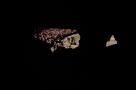 Nasty - Trailer
