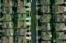 National Bird - Trailer