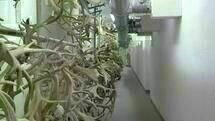 Natural History 02