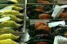 Natural History 07