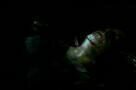 Near Dark - Trailer