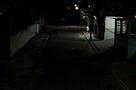 Neighbouring Sounds 13