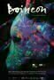 Neon Bull - Poster