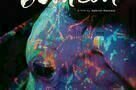 Neon Bull - Poster