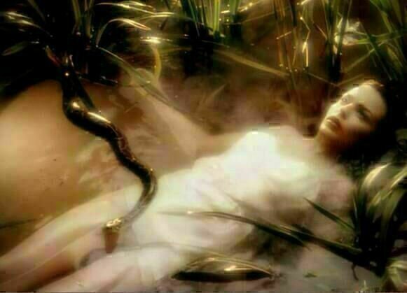 Nick Cave Minogue Wild Roses GRow Nick Cave Minogue Wild Roses GRow