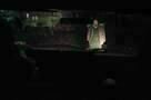 Night Moves - Trailer