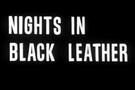 Nights in Black Leather 1