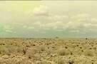 No Country for Old Men - Trailer 2