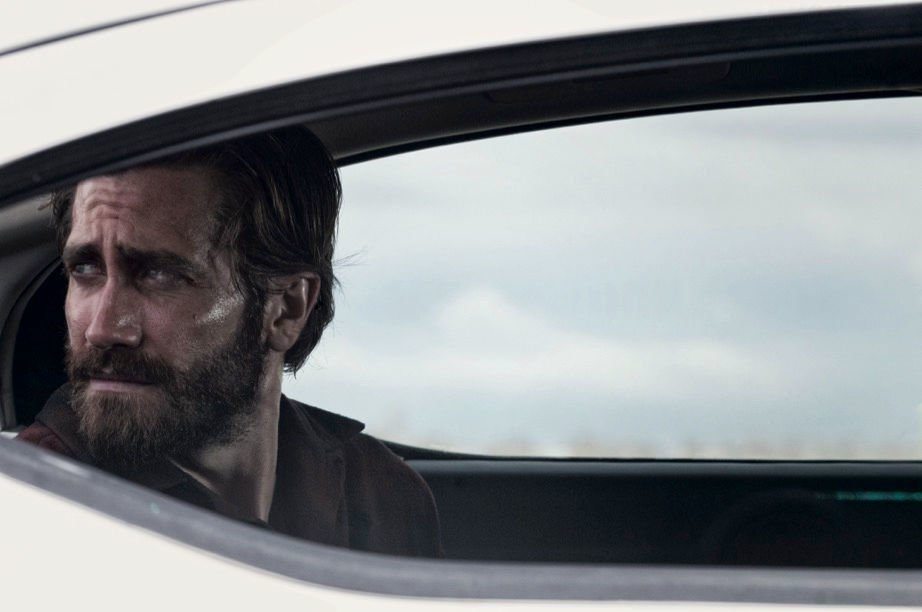 Nocturnal Animals 01