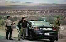 Nocturnal Animals 02 Nocturnal Animals 02