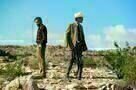 Nocturnal Animals 12