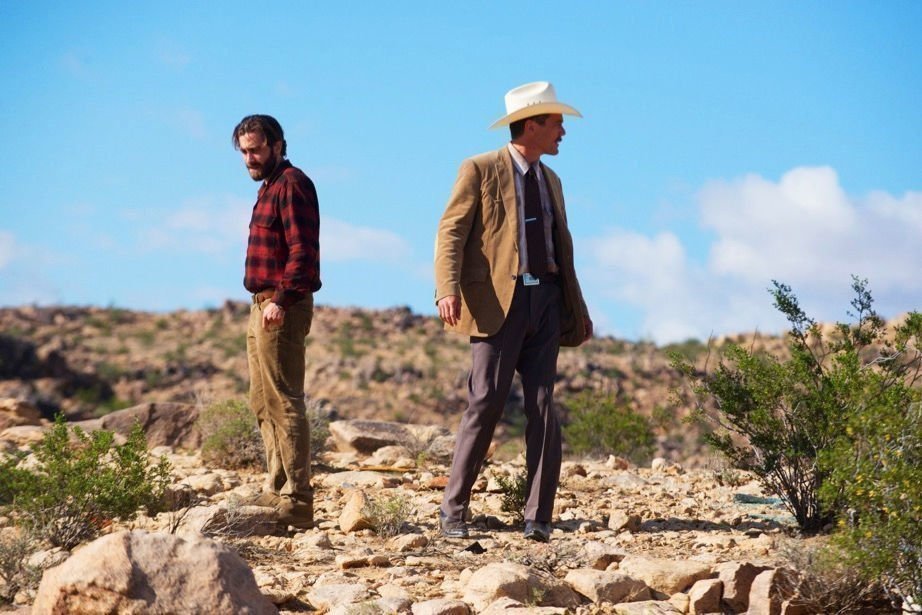 Nocturnal Animals 12