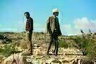 Nocturnal Animals 12