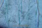 Notes from Eremocene - Trailer