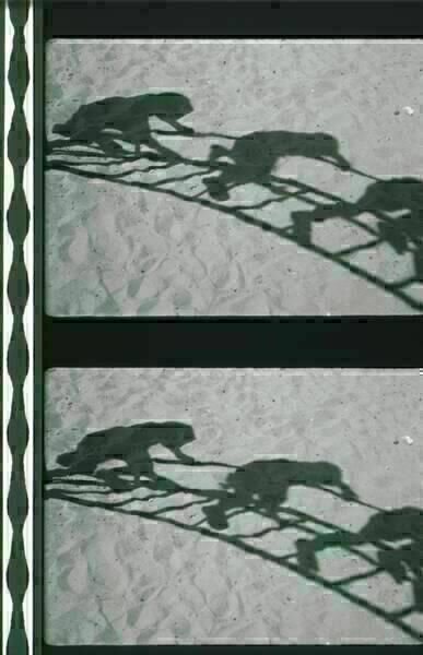 Oberhausen Schatten 01