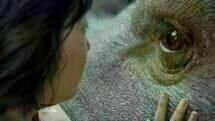 Okja  4