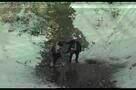 Old Love - Trailer