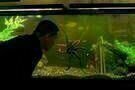 Oldboy 02