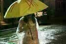 Oldboy 14