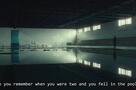 Orca - Trailer