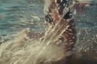 I Agries Meres Mas - Clip