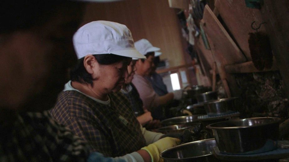Oyster Factory 01