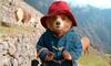Paddington in Peru