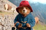 Paddington in Peru