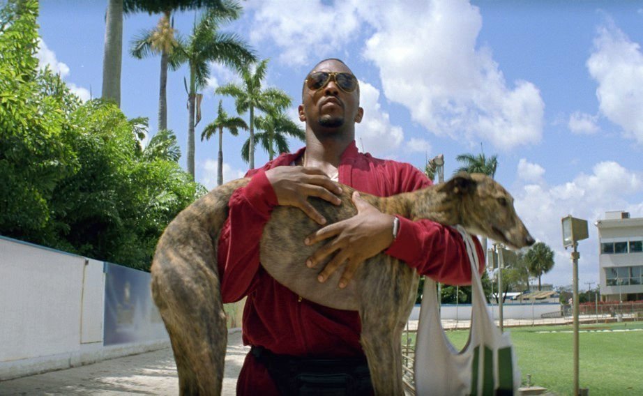 Pain and Gain 06