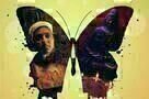 Papilio Buddha - Poster