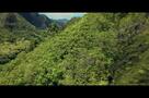 Paradise City - Trailer