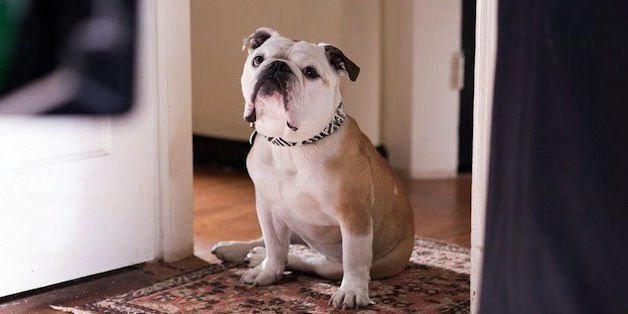 Paterson Feature Paterson Feature