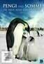 Pengi und Sommi - Poster