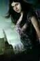 Percy Jackson - Diebe im Olymp