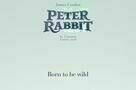 Peter Hase - Poster