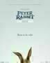Peter Hase - Poster