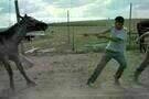 Pine Ridge 02