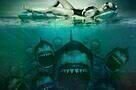 Piranha Sharks - Poster
