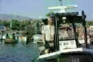 Piranha3D 011